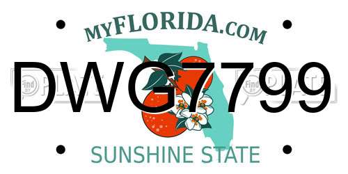 DWG7799 Florida License Plate