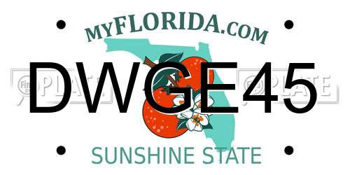 DWGE45 Florida License Plate