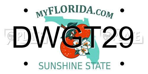 DWGT29 Florida License Plate