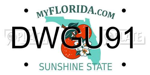 DWGU91 Florida License Plate