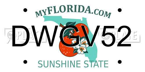 DWGV52 Florida License Plate