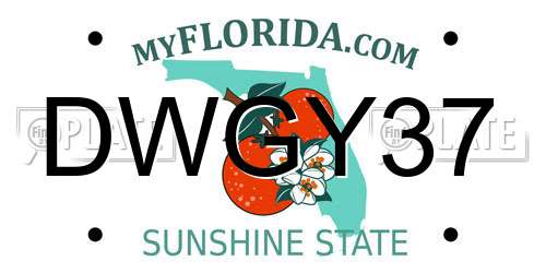 DWGY37 Florida License Plate
