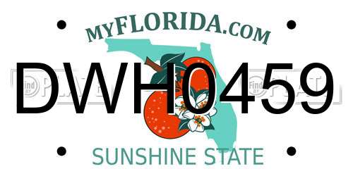 DWH0459 Florida License Plate