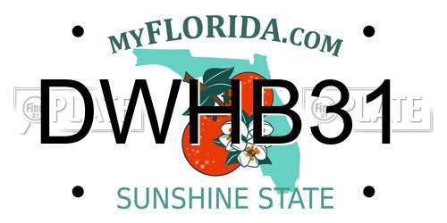 DWHB31 Florida License Plate