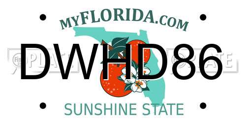 DWHD86 Florida License Plate