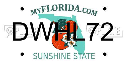 DWHL72 Florida License Plate