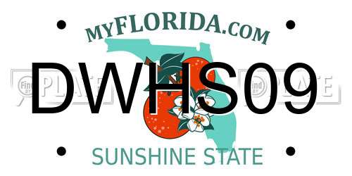 DWHS09 Florida License Plate