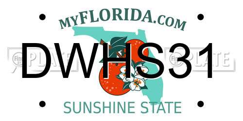 DWHS31 Florida License Plate