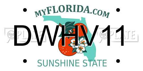 DWHV11 Florida License Plate