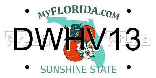 DWHV13 Florida License Plate