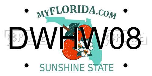 DWHW08 Florida License Plate
