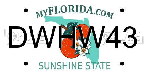 DWHW43 Florida License Plate