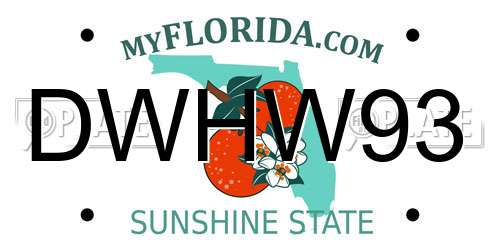 DWHW93 Florida License Plate