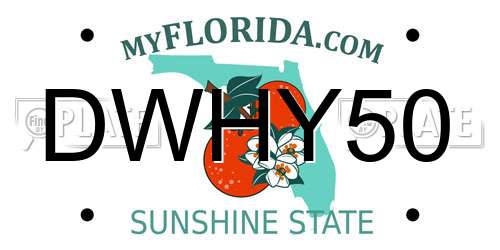 DWHY50 Florida License Plate