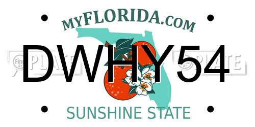 DWHY54 Florida License Plate