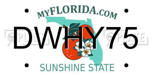 DWHY75 Florida License Plate