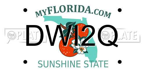 DWI2Q Florida License Plate