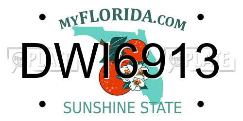 DWI6913 Florida License Plate