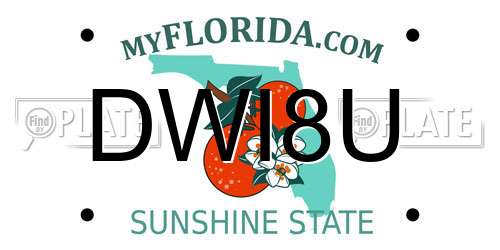 DWI8U Florida License Plate