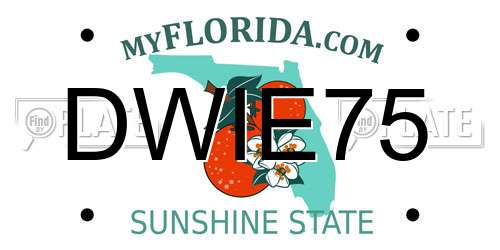 DWIE75 Florida License Plate
