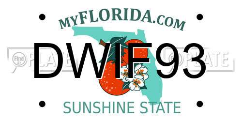 DWIF93 Florida License Plate