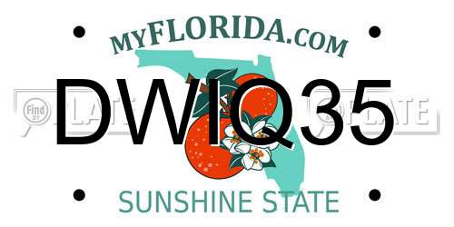 DWIQ35 Florida License Plate