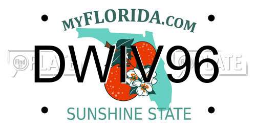 DWIV96 Florida License Plate