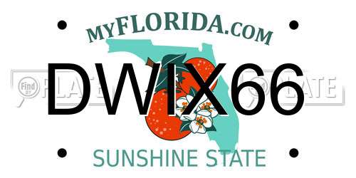 DWIX66 Florida License Plate