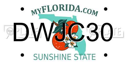 DWJC30 Florida License Plate
