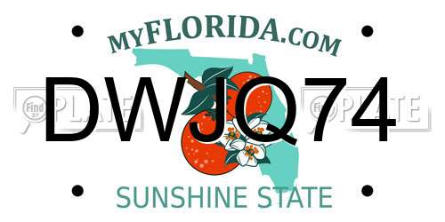 DWJQ74 Florida License Plate