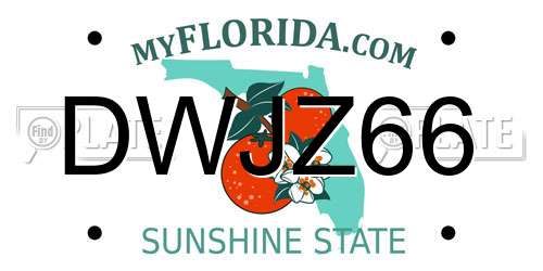 DWJZ66 Florida License Plate