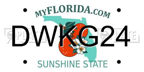 DWKG24 Florida License Plate