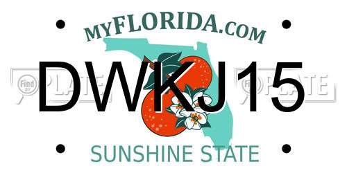 DWKJ15 Florida License Plate