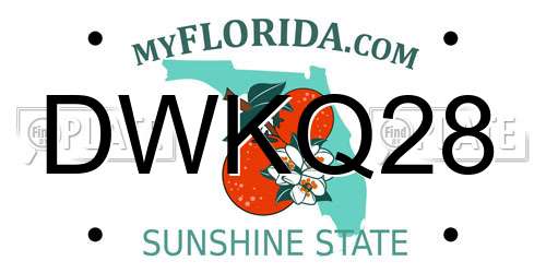 DWKQ28 Florida License Plate
