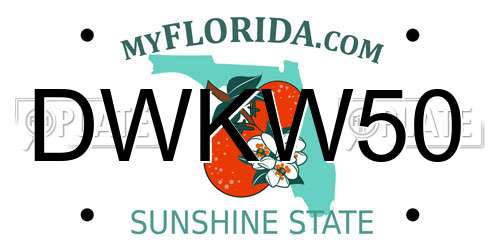 DWKW50 Florida License Plate