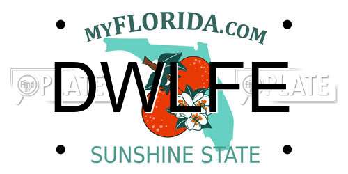 DWLFE Florida License Plate