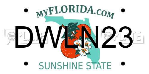 DWLN23 Florida License Plate