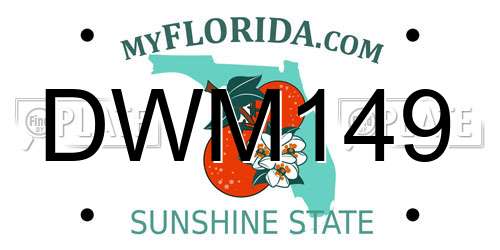 DWM149 Florida License Plate