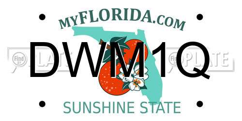DWM1Q Florida License Plate