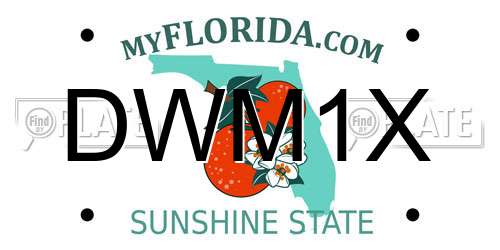 DWM1X Florida License Plate