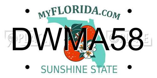 DWMA58 Florida License Plate