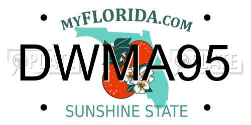 DWMA95 Florida License Plate