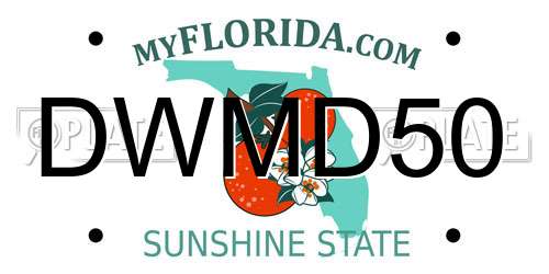 DWMD50 Florida License Plate