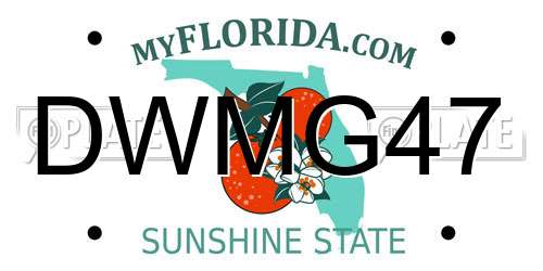 DWMG47 Florida License Plate