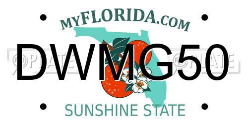 DWMG50 Florida License Plate