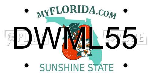 DWML55 Florida License Plate
