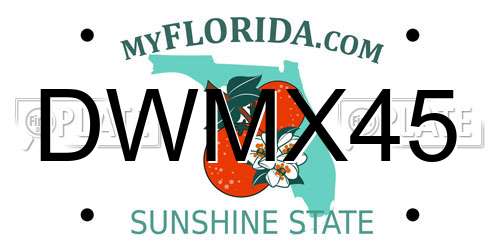 DWMX45 Florida License Plate