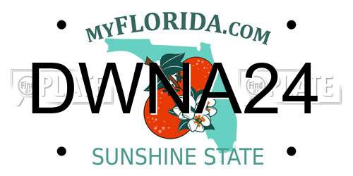 DWNA24 Florida License Plate