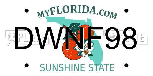 DWNF98 Florida License Plate