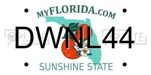DWNL44 Florida License Plate